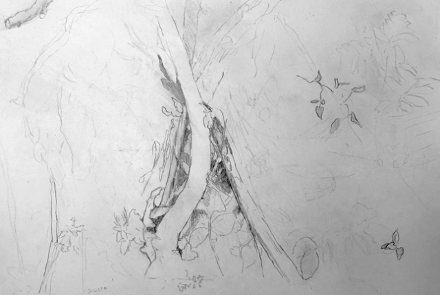 Untitled
                                                          #3