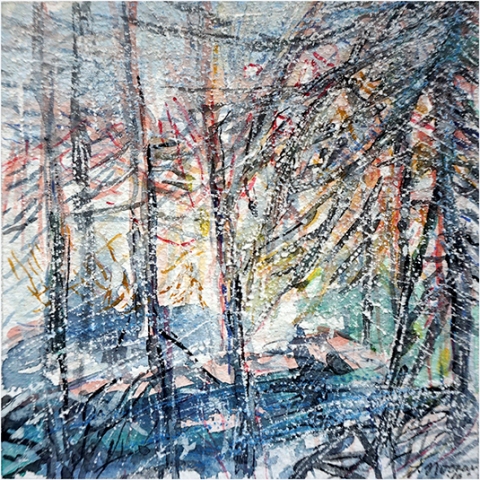 Winter
                                                          Forest (Snow
                                                          Pine)