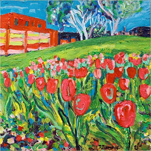 Red Tulip
                                                          Field
