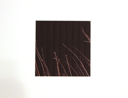 Fort Lavigne
                                V2